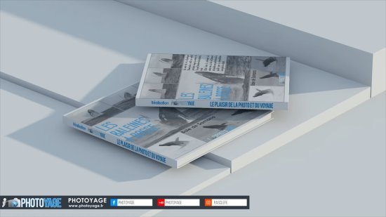 Les Baleines à bosse