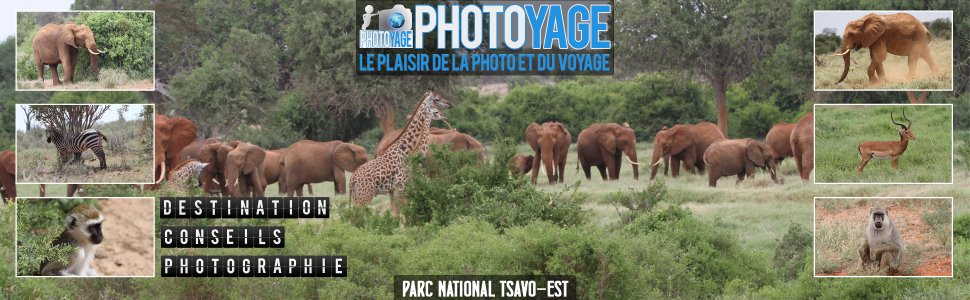 base_photoyage_18_970x300px.jpg