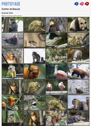 Visite du 05 janvier 2026