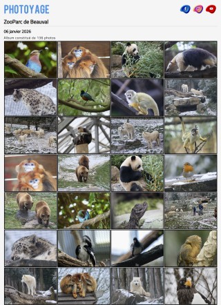 Visite du 06 janvier 2026