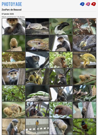 Visite du 07 janvier 2026