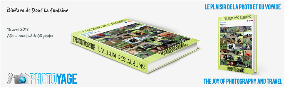 bioparc_doue_la_fontaine_2017_04_16_book_cover_970x300px_V02.jpg