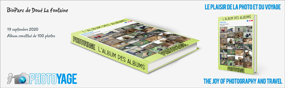 bioparc_doue_la_fontaine_2020_09_19_book_cover_970x300px_V02.jpg