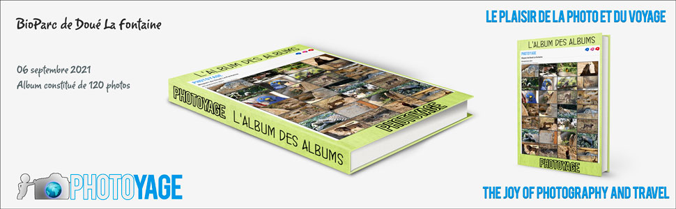 bioparc_doue_la_fontaine_2021_09_06_book_cover_970x300px_V02.jpg
