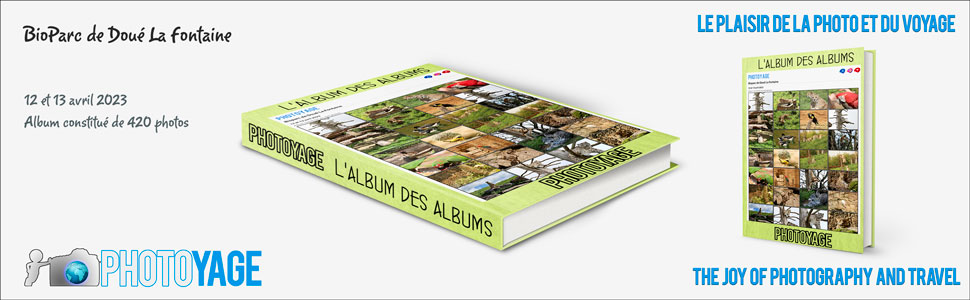 bioparc_doue_la_fontaine_2023_04_12_13_book_cover_970x300px_V02.jpg