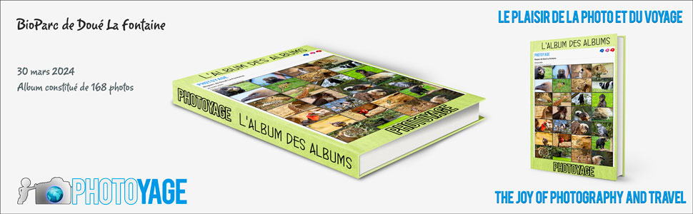 bioparc_doue_la_fontaine_2024_03_30_book_cover_970x300px_V02.jpg