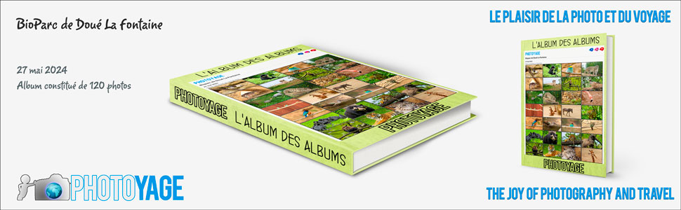 bioparc_doue_la_fontaine_2024_05_27_book_cover_970x300px_V02.jpg