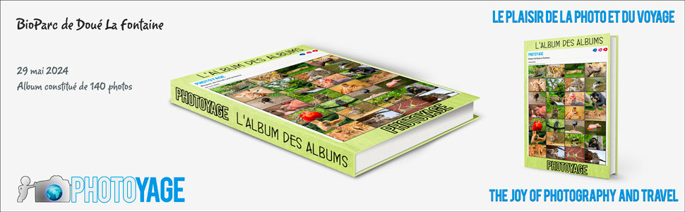 bioparc_doue_la_fontaine_2024_05_29_book_cover_970x300px_V02.jpg