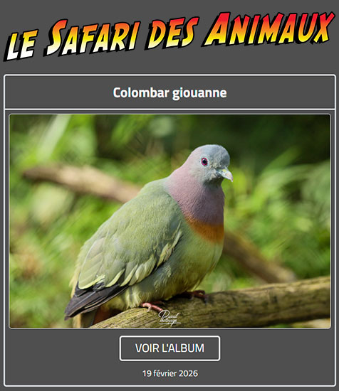 COLOMBAR GIOUANNE