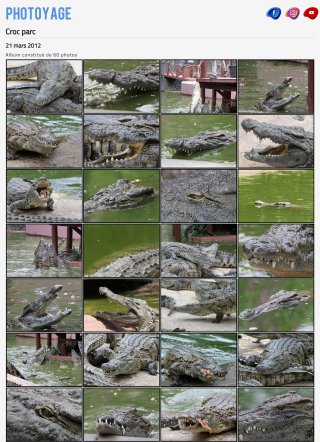 Croc parc - 21 mars 2012
