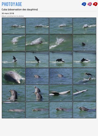 Cuba (observation des dauphins) - 30 mars 2018