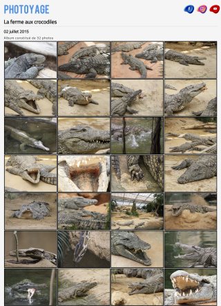 La ferme aux crocodiles - 02 juillet 2015