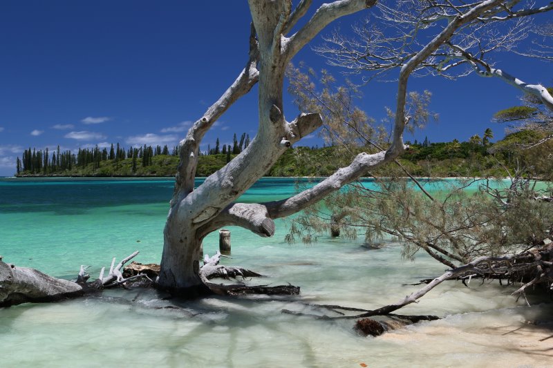 Photo prise avec le filtre polarisant - île des Pins