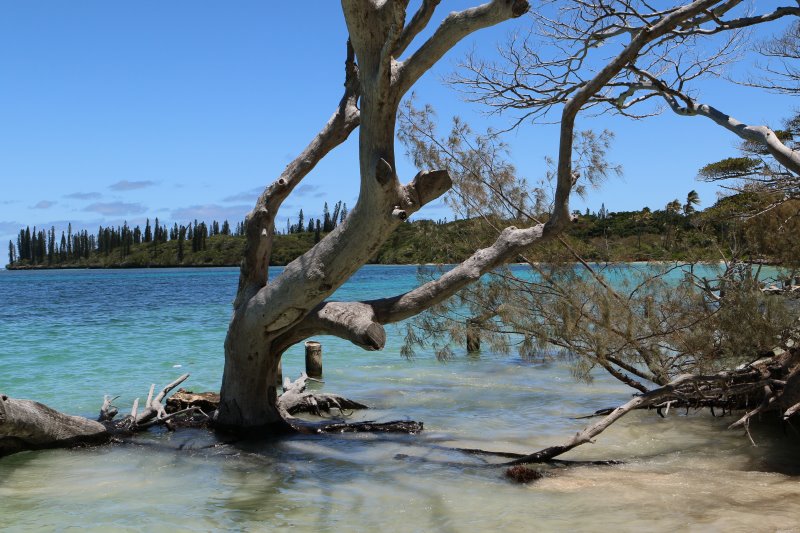 Photo prise sans le filtre polarisant - île des Pins