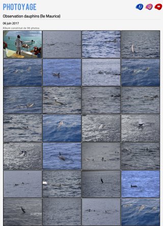 Observation dauphins (île Maurice) - 06 juin 2017