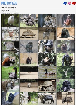 Zoo de La palmyre - 24 juin 2021