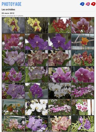 Les orchidées - 28 mars 2012