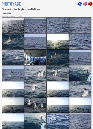 Observation des dauphins (Les Maldives) - 16 juin 2019