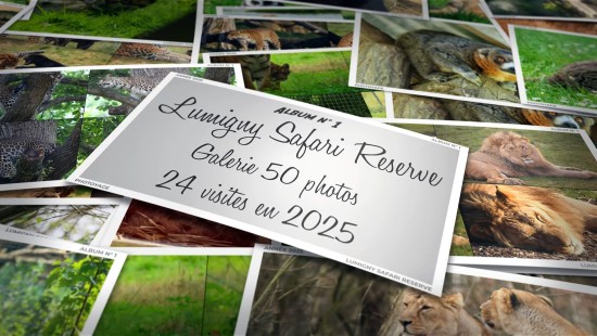 Lumigny Safari Reserve - Année 2025 - Album 01