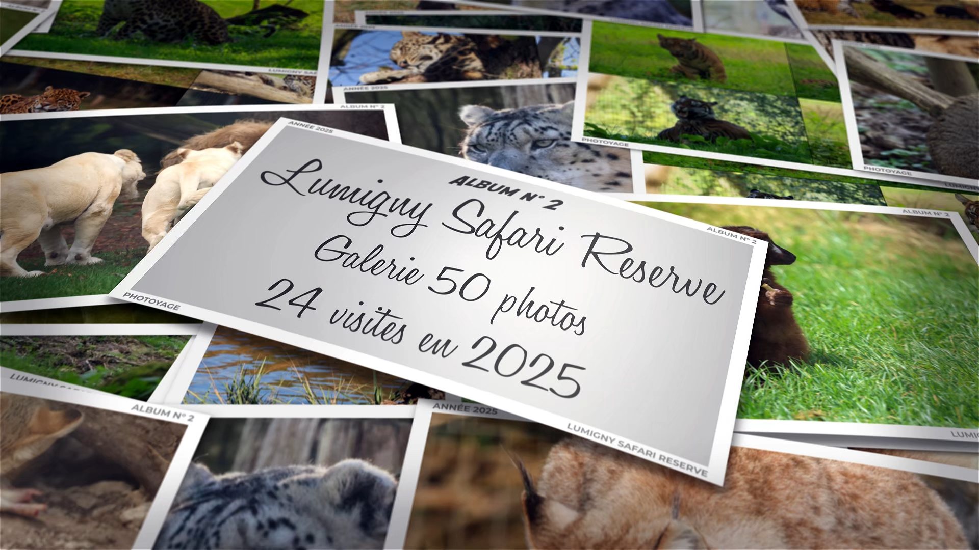 Lumigny Safari Reserve - Année 2025 - Album 02