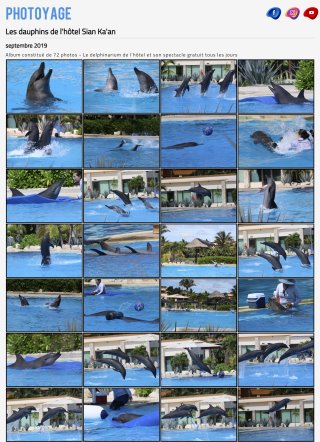 Les dauphins de l'hôtel Sian Ka'an - Septembre 2019