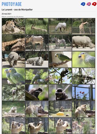 Le zoo de Montpellier - 25 mai 2021