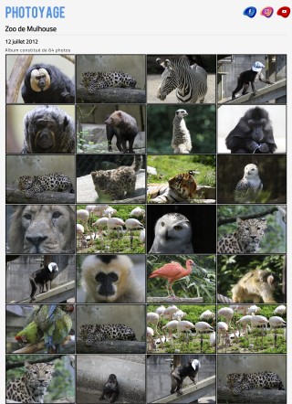 Zoo de Mulhouse - 12 juillet 2012