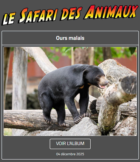 OURS MALAIS