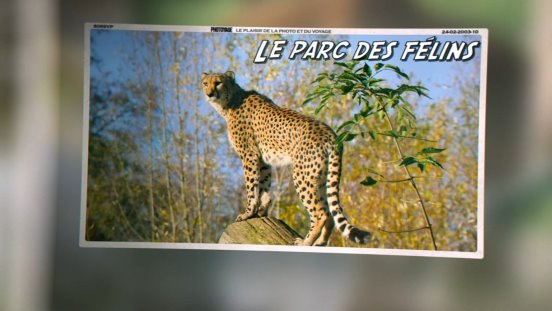 parc_des_felins_-_2023_11_25.jpg
