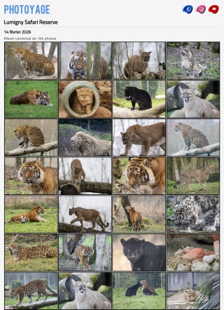 Visite du 14 février 2026