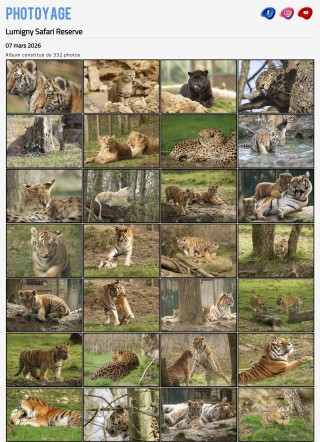 Visite du 07 mars 2026