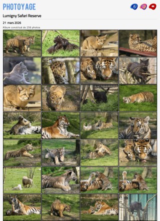 Visite du 21 mars 2026