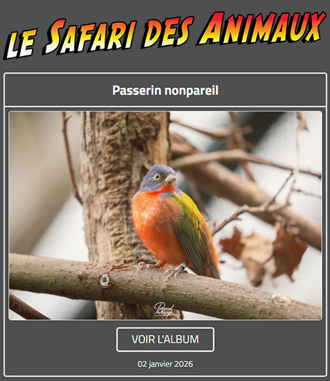 PASSERIN NONPAREIL