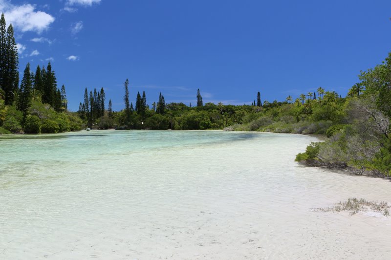 piscine_naturelle_-_128.jpg