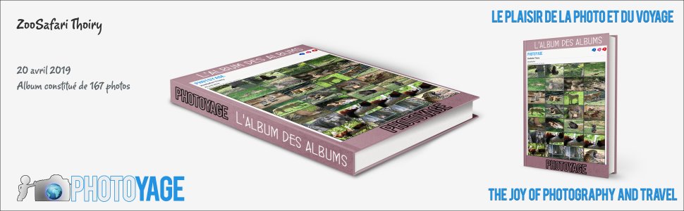 Cliquez sur cette image pour accéder à l'album