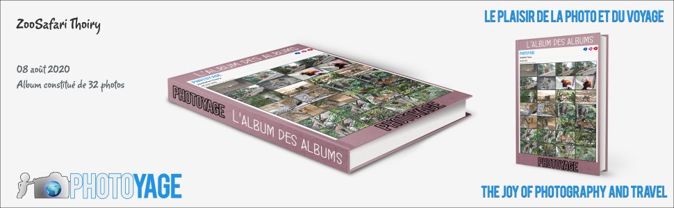 Cliquez sur cette image pour accéder à l'album