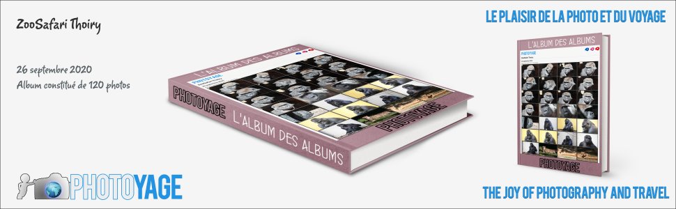 Cliquez sur cette image pour accéder à l'album