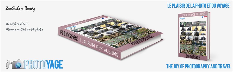 Cliquez sur cette image pour accéder à l'album