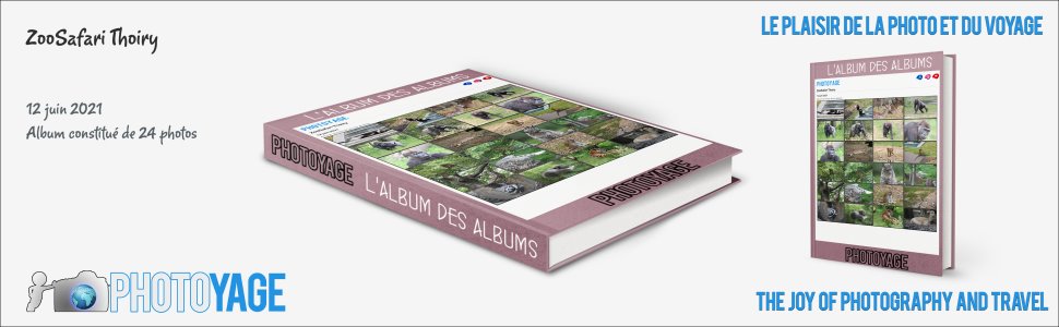 Cliquez sur cette image pour accéder à l'album