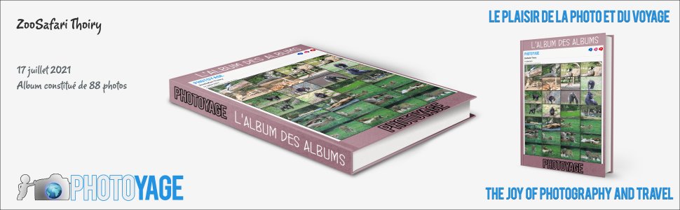 Cliquez sur cette image pour accéder à l'album