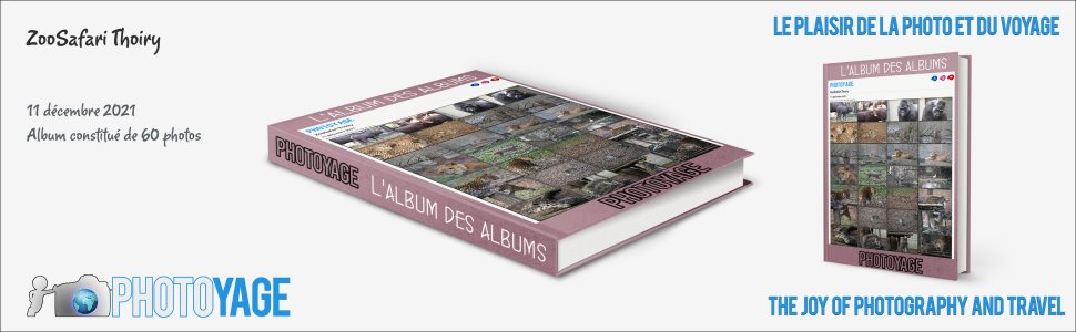 Cliquez sur cette image pour accéder à l'album