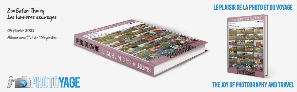 Cliquez sur cette image pour accéder à l'album