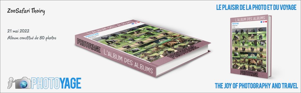 Cliquez sur cette image pour accéder à l'album