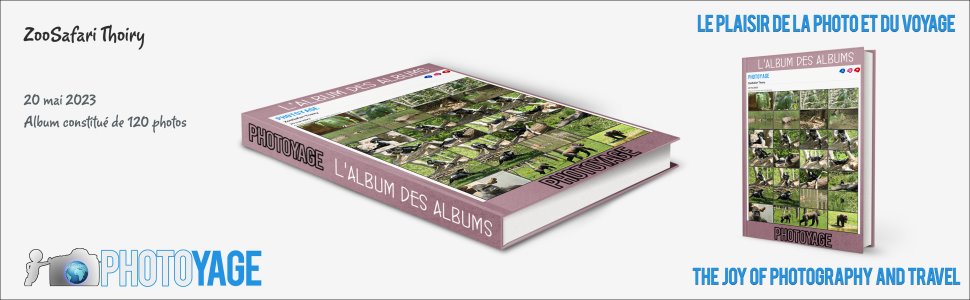 Cliquez sur cette image pour accéder à l'album