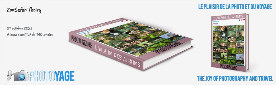 Cliquez sur cette image pour accéder à l'album