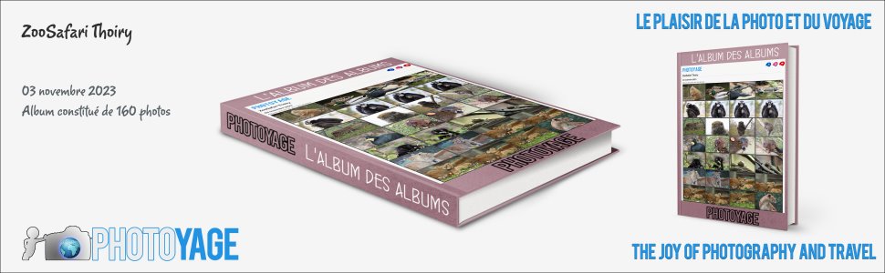 Cliquez sur cette image pour accéder à l'album