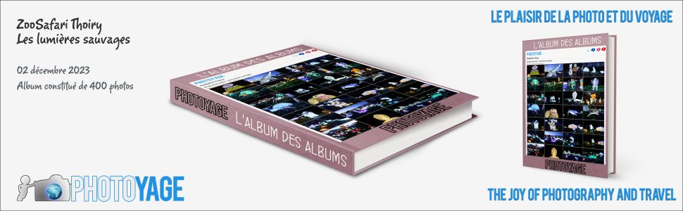 Cliquez sur cette image pour accéder à l'album