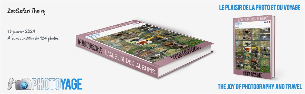 Cliquez sur cette image pour accéder à l'album