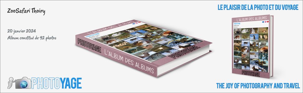 Cliquez sur cette image pour accéder à l'album