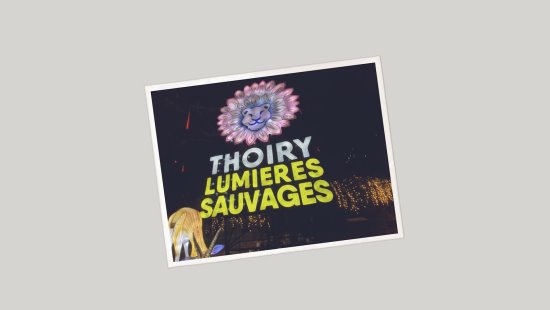 Les lumières sauvages